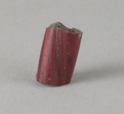 Twisted, ribbed, compound, tubular red bead.