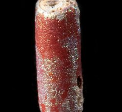 Drawn, compound tubular bead, small.