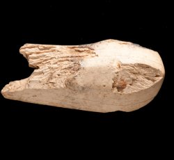 Bone utensil handle.