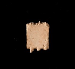 Bone dressing or grooming comb fragment.
