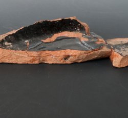 Buckley hollowware base.