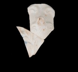 Porcelain vase or pitcher.