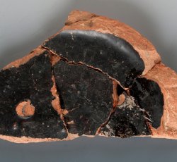 Buckley hollowware base.