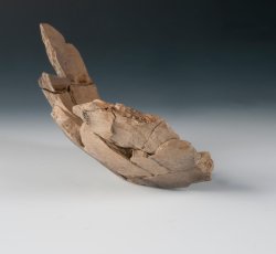 Colonoware hollow vessel base.