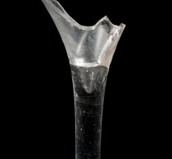 Wine glass with trumpet bowl and partial straight stem.