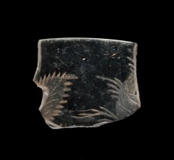 Jacobite-type engraved wine glass rim.