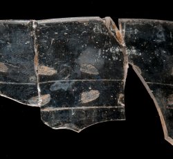 Engraved wine glass rim.