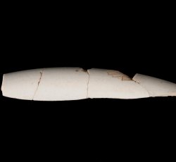 White salt-glazed stoneware hollowware.