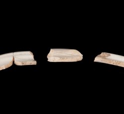 White salt-glazed stoneware hollowware.