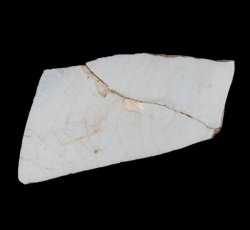 Possible whiteware vessel.