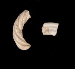 Creamware hollowware.