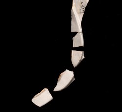 White salt-glazed stoneware hollowware.