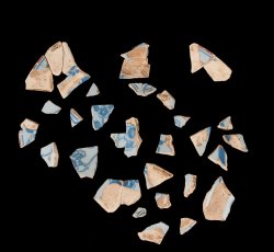 Tin-glazed earthenware plate with blue floral motif.