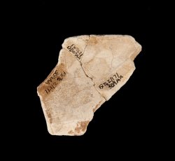 Tin-glazed earthenware dish or plate.