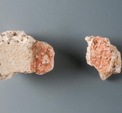 Plaster fragments with red pigment on whitewashed surface.
