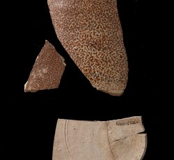 William Rogers stoneware mug.