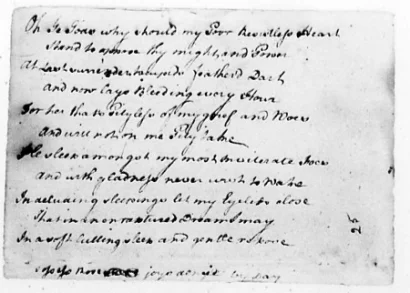 Washington poem