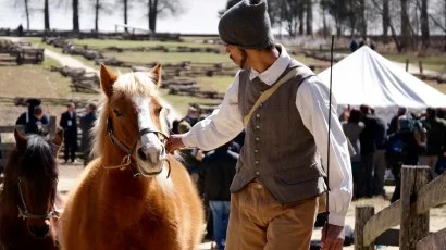 Horses & Hounds