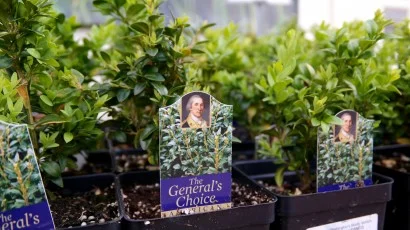 Historic Plant & Garden Sale