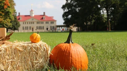 Jack-O'-Lanterns, George, and Sheep's Blood