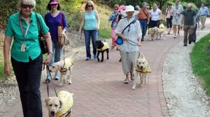 Bring Your Dog to Mount Vernon
