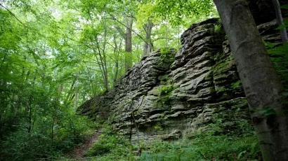 Washington and the French and Indian War