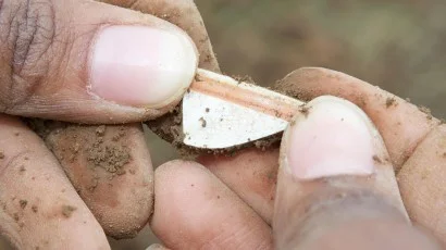 Archaeological Collections