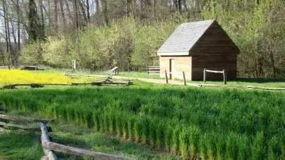 Field Labor at Mount Vernon