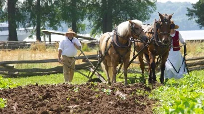 See Farming in Action at Mount Vernon