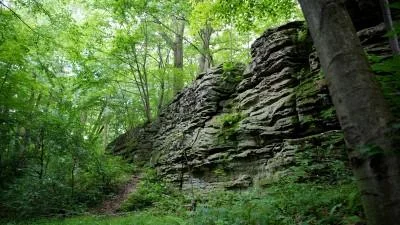 Jumonville Glen Skirmish