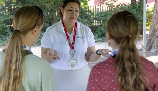 Archaeology Family Day