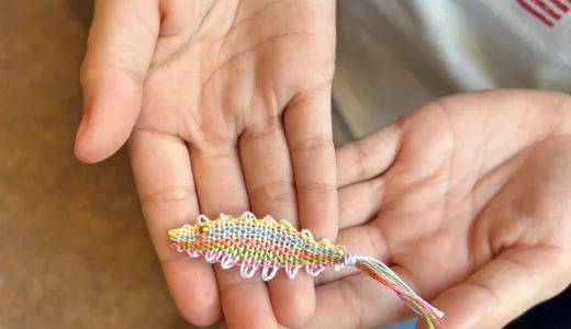 Bobbin Lace Making Homeschool Workshop
