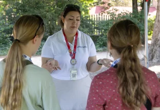 Archaeology Family Day