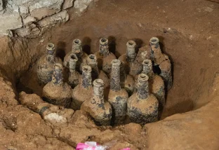 Some of the bottles discovered in the Mansion Cellar