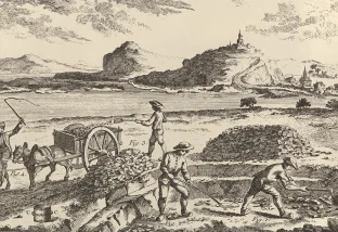 L'Encyclopédie, ou, Dictionnaire raisonne des sciences, des arts et des métiers [Plate 83], Denis Diderot, 1763. MVLA