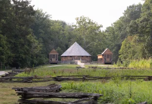 The Farm
