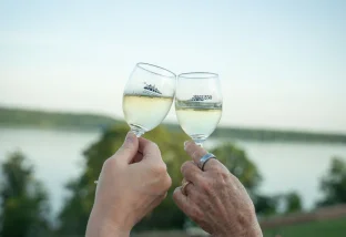 Spring Wine Festival