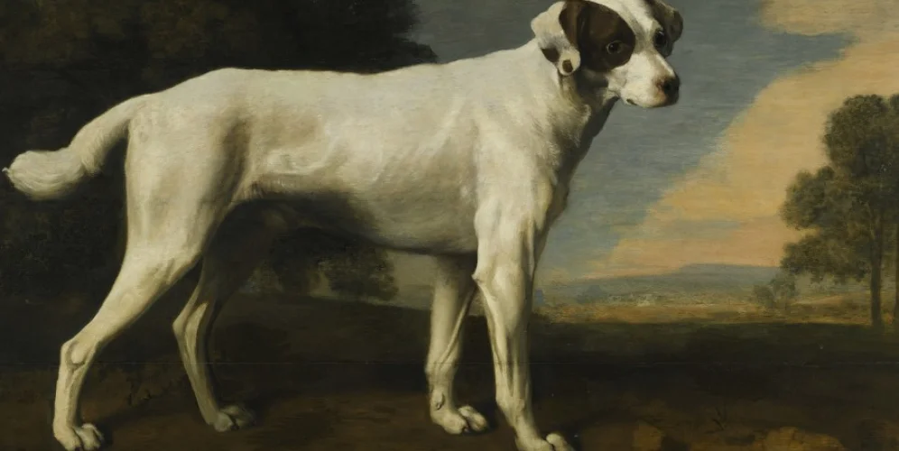 george-stubbs-portrait-of-a-white-dog-the-property.jpg