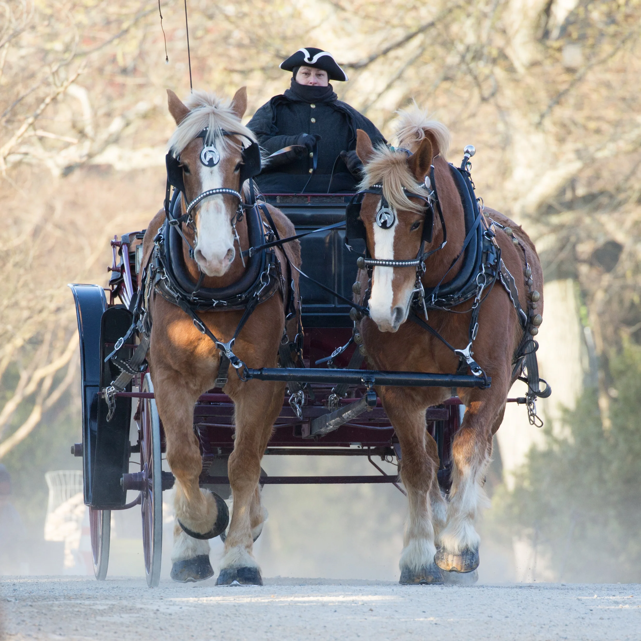 Carriage