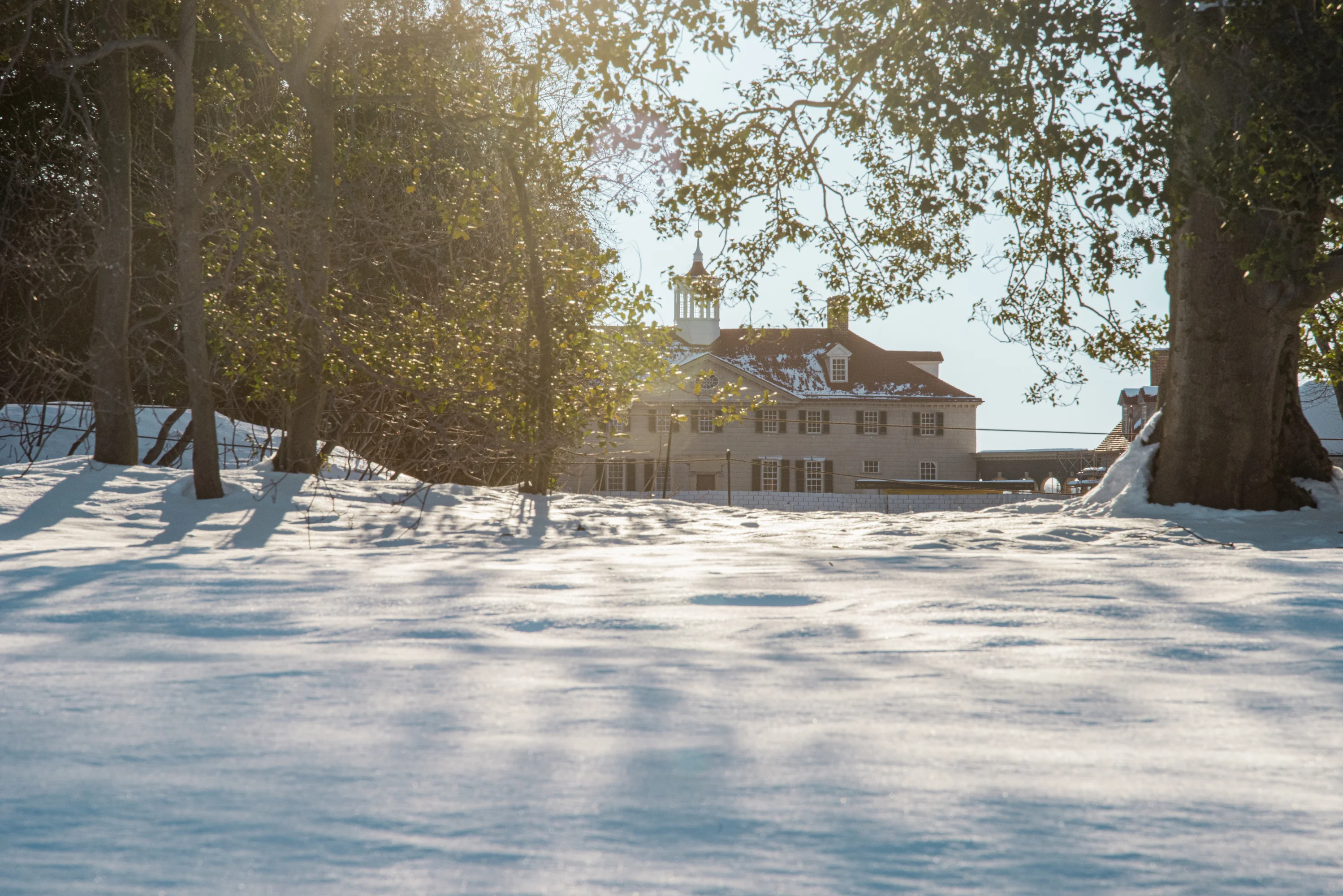 Snowy at Mount Vernon