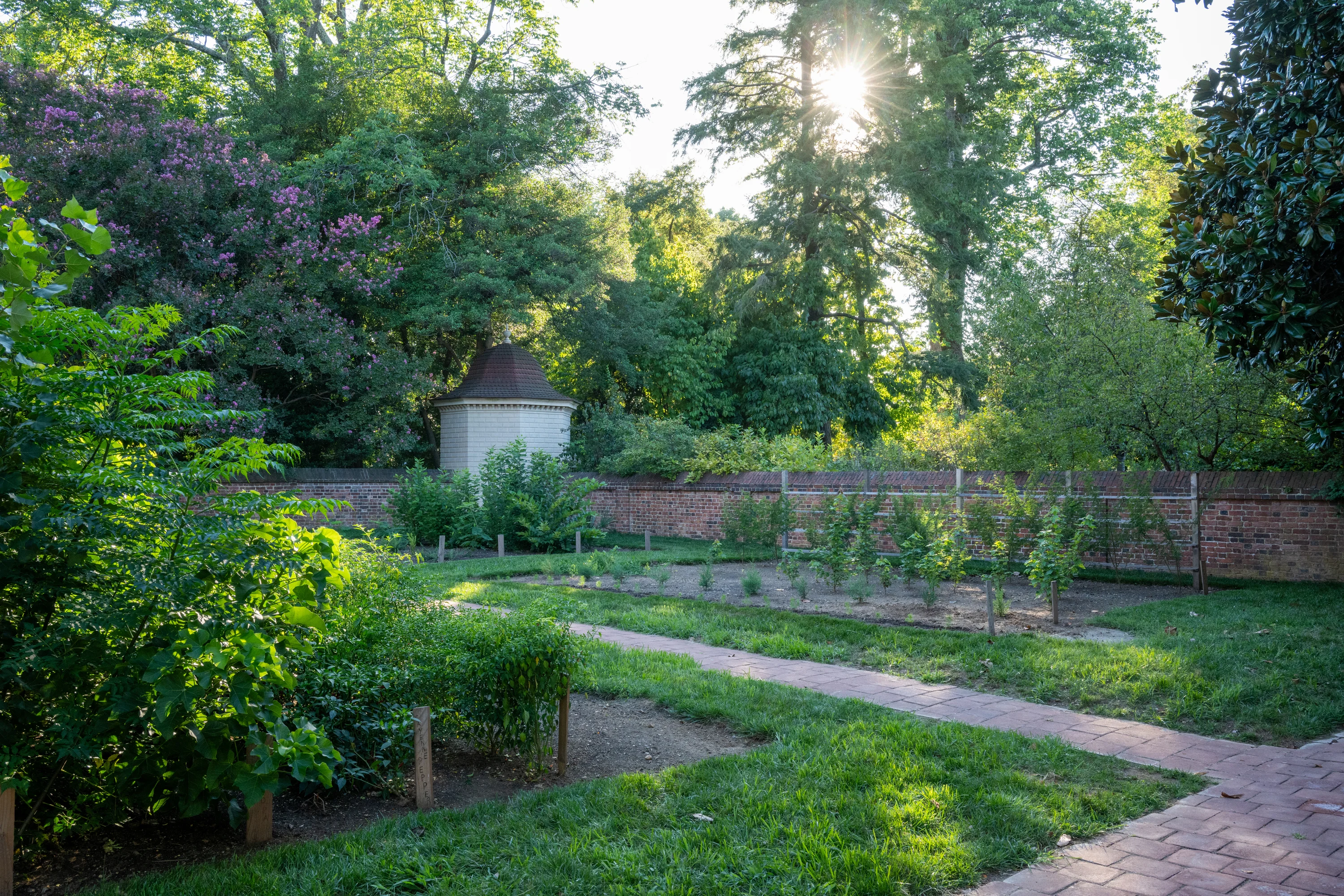 Botanical garden