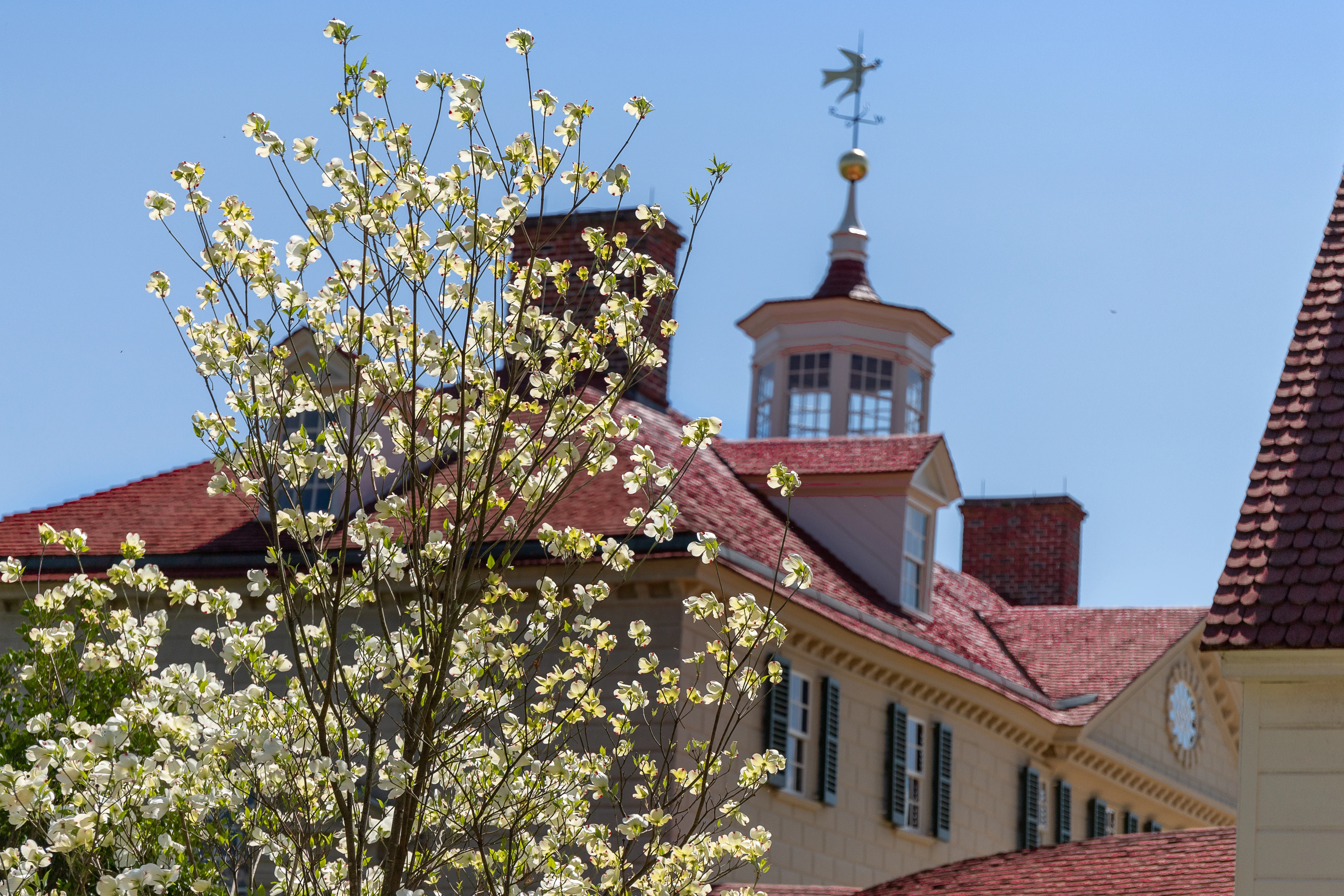 Spring Mansion