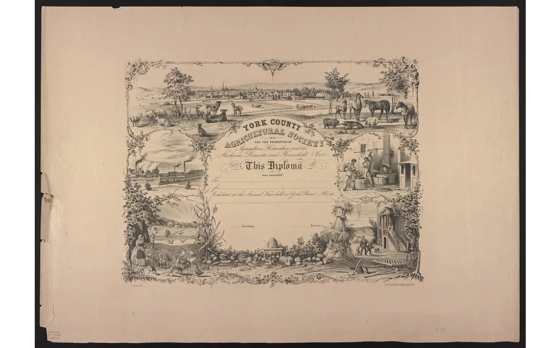 Whiskey Rebellion