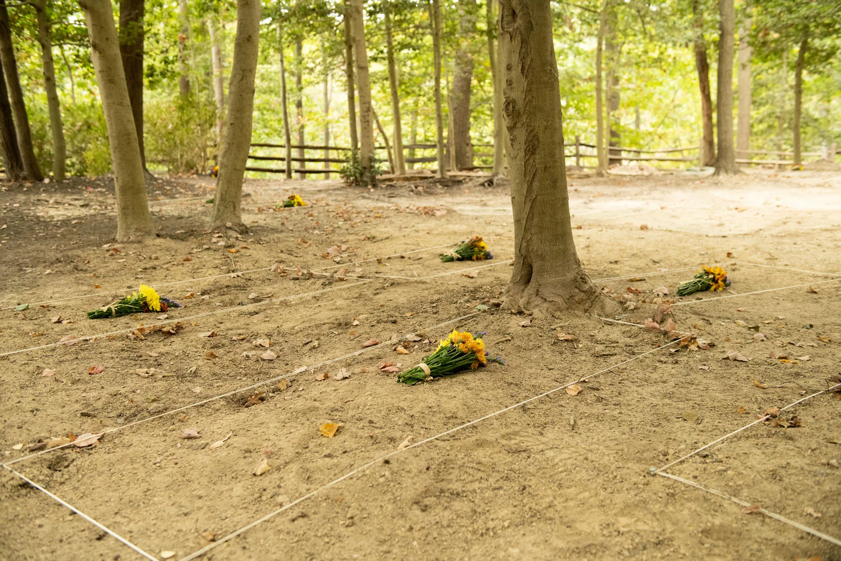 African American Burial Ground