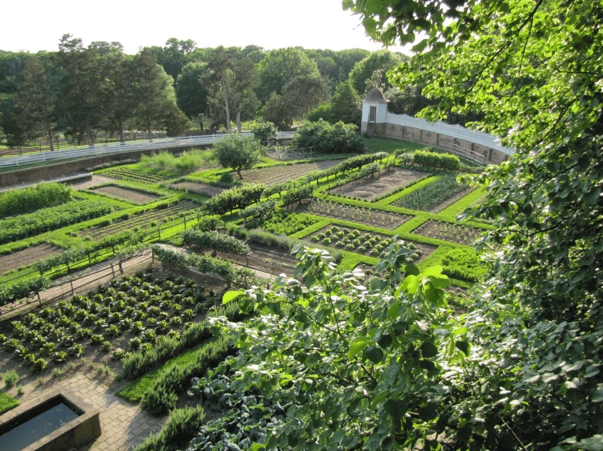 Upper Garden