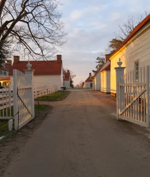 The North Lane at Sunrise 