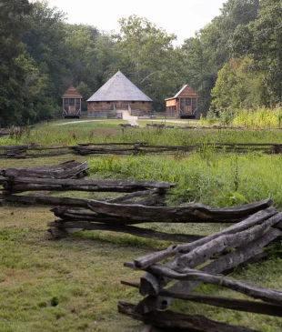 The Farm