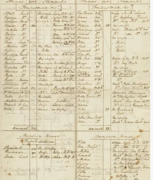 Census of Enslaved