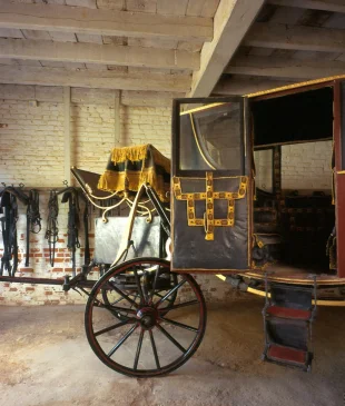 Powell Coach Conservation