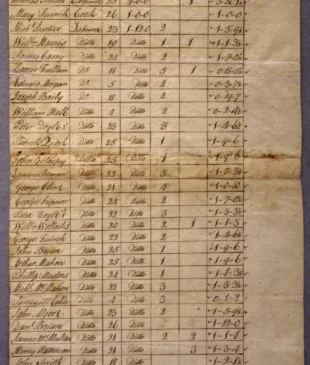 Utilizing Libraries & Collections in Your Classroom